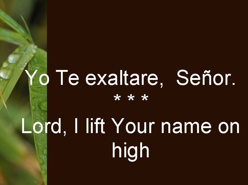 Yo Te exaltare, Señor. *** Lord, I lift Your name on high 