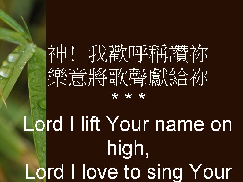 神! 我歡呼稱讚祢 樂意將歌聲獻給祢 *** Lord I lift Your name on high, Lord I love
