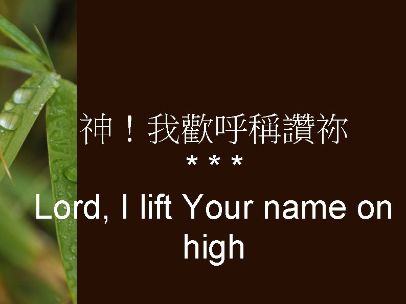 神！我歡呼稱讚祢 *** Lord, I lift Your name on high 