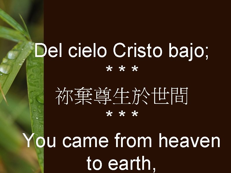 Del cielo Cristo bajo; *** 祢棄尊生於世間 *** You came from heaven to earth, 