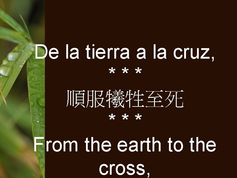 De la tierra a la cruz, *** 順服犧牲至死 *** From the earth to the