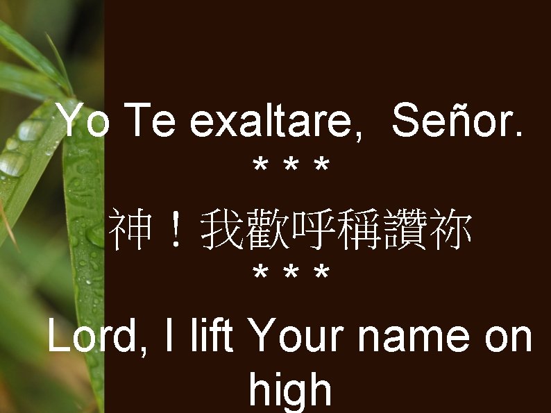 Yo Te exaltare, Señor. *** 神！我歡呼稱讚祢 *** Lord, I lift Your name on high