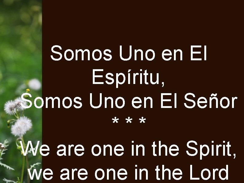 Somos Uno en El Espíritu, Somos Uno en El Señor *** We are one
