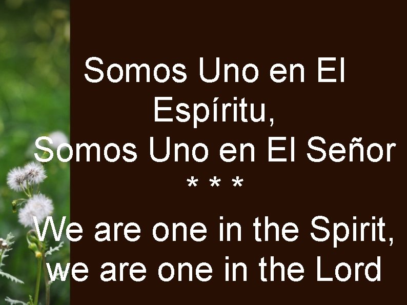 Somos Uno en El Espíritu, Somos Uno en El Señor *** We are one