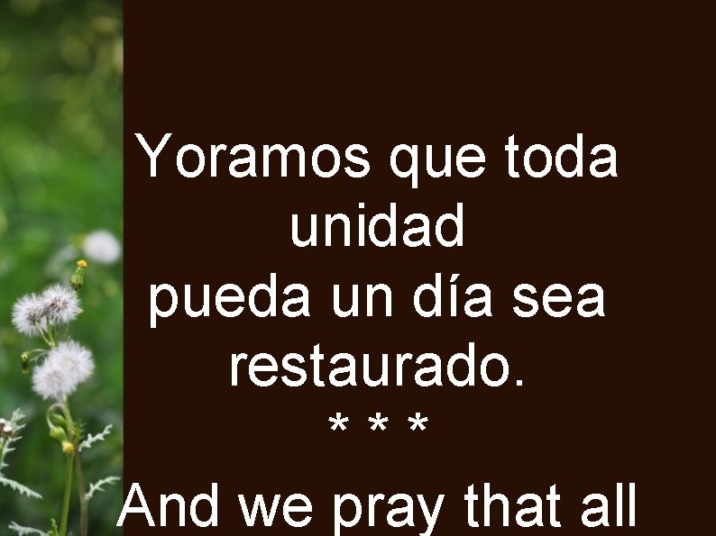 Yoramos que toda unidad pueda un día sea restaurado. *** And we pray that