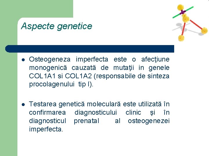 Aspecte genetice l Osteogeneza imperfecta este o afecţiune monogenică cauzată de mutaţii in genele