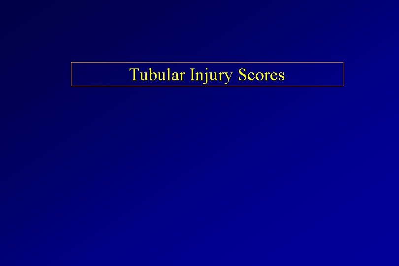 Tubular Injury Scores 