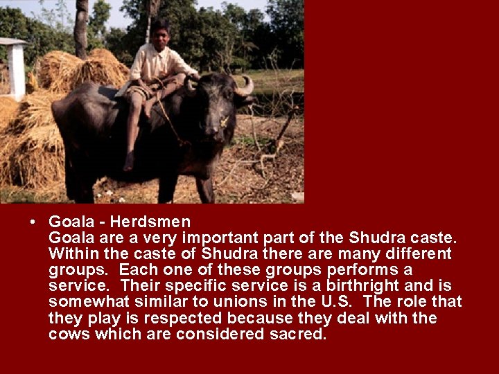  • Goala - Herdsmen Goala are a very important part of the Shudra