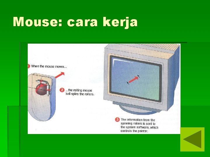 Mouse: cara kerja 