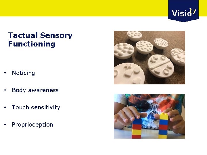 Tactual Sensory Functioning • Noticing • Body awareness • Touch sensitivity • Proprioception 