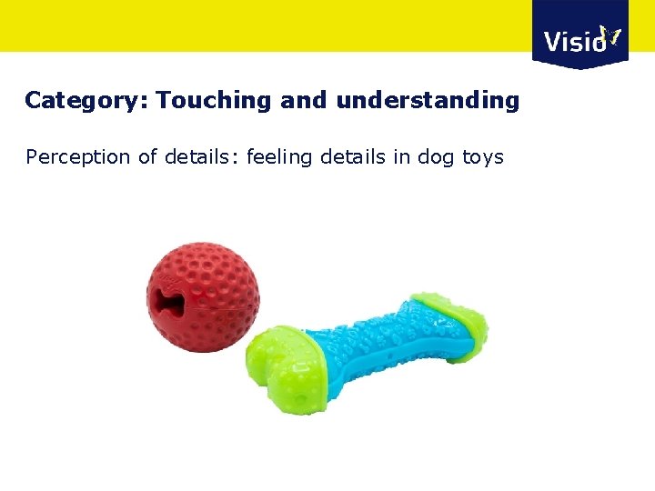 Category: Touching and understanding Perception of details: feeling details in dog toys 