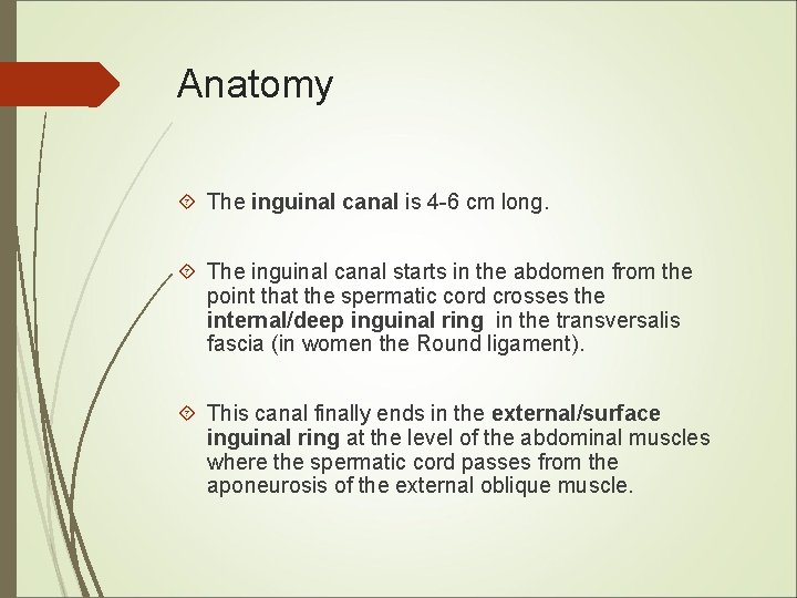 Anatomy The inguinal canal is 4 -6 cm long. The inguinal canal starts in Anatomy The inguinal canal is 4 -6 cm long. The inguinal canal starts in