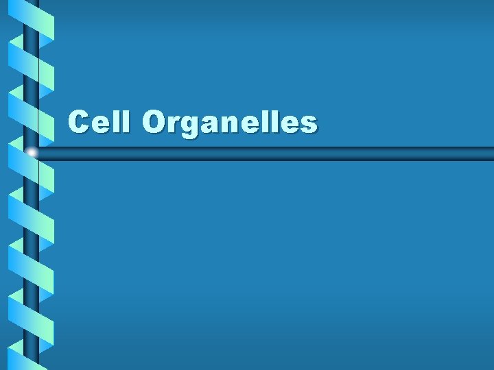 Cell Organelles 