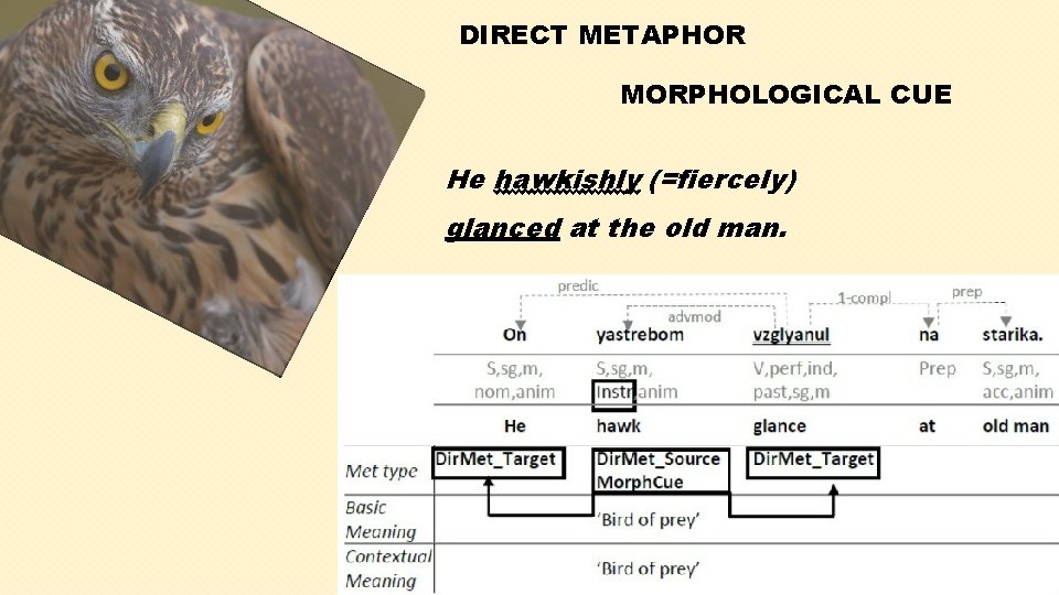 DIRECT METAPHOR MORPHOLOGICAL CUE He hawkishly (=fiercely) glanced at the old man. 