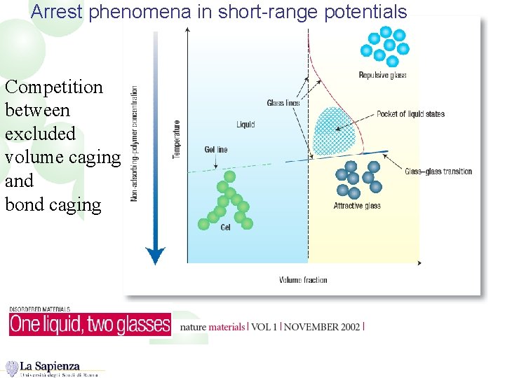 Arrest phenomena in short-range potentials Competition between excluded volume caging and bond caging 