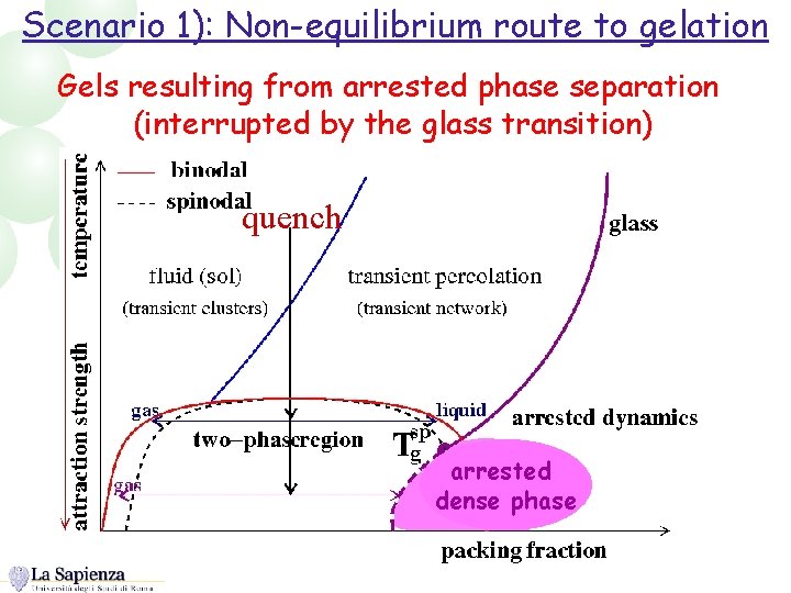 Scenario 1): Non-equilibrium route to gelation Gels resulting from arrested phase separation (interrupted by