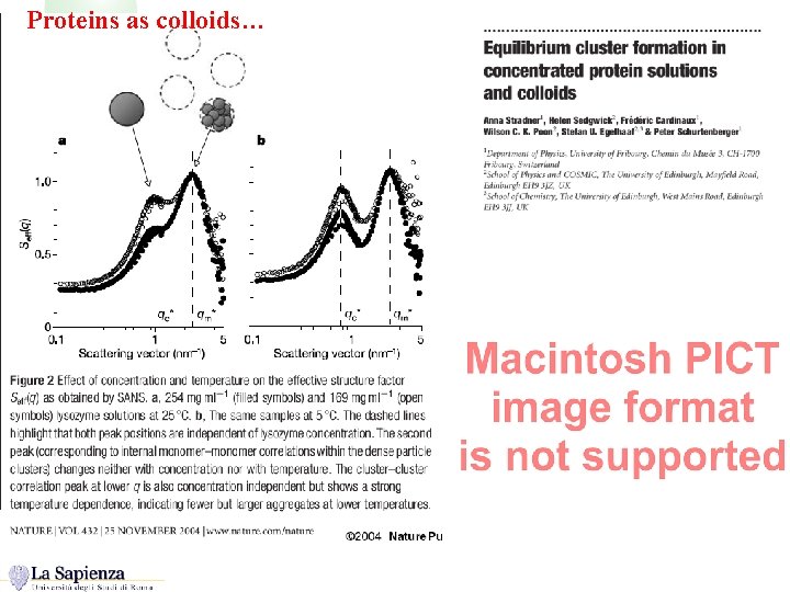 Proteins as colloids… 