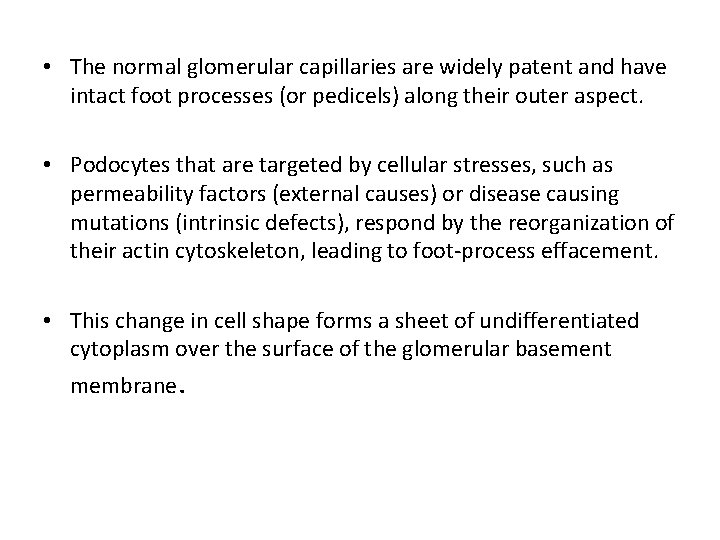  • The normal glomerular capillaries are widely patent and have intact foot processes