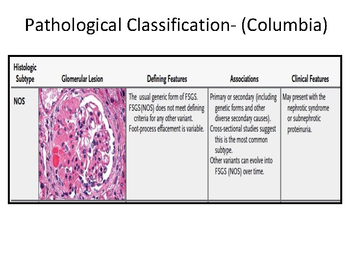 Pathological Classification- (Columbia) 
