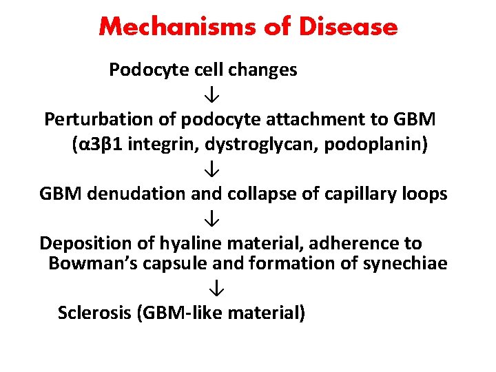 Mechanisms of Disease Podocyte cell changes ↓ Perturbation of podocyte attachment to GBM (α