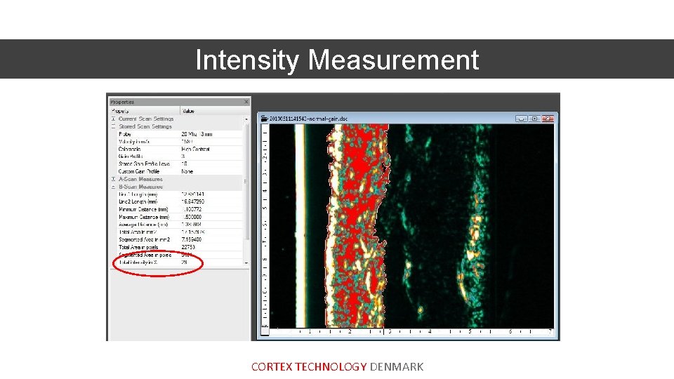 Intensity Measurement CORTEX TECHNOLOGY DENMARK 