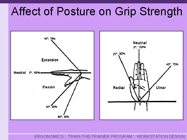 Affect of Posture on Grip Strength ERGONOMICS : : TRAIN-THE-TRAINER PROGRAM : : WORKSTATION