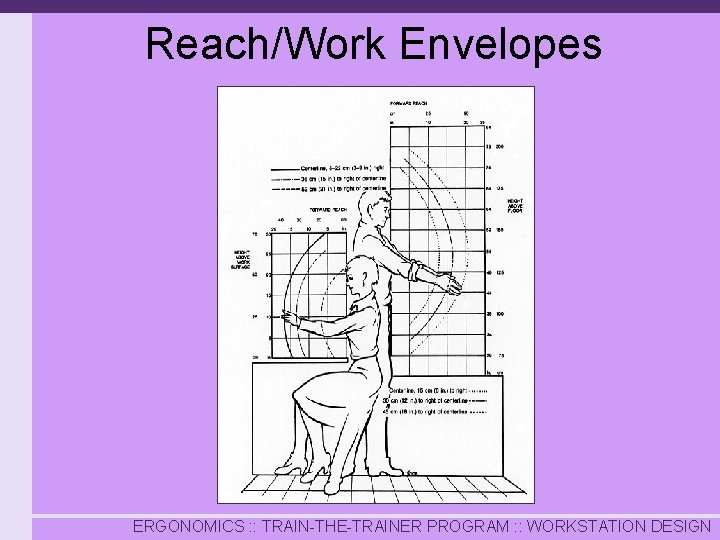 Reach/Work Envelopes ERGONOMICS : : TRAIN-THE-TRAINER PROGRAM : : WORKSTATION DESIGN 
