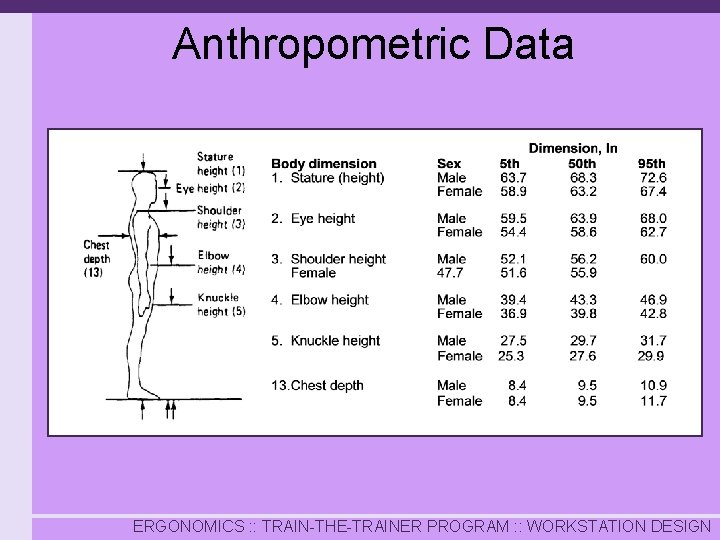 Anthropometric Data ERGONOMICS : : TRAIN-THE-TRAINER PROGRAM : : WORKSTATION DESIGN 