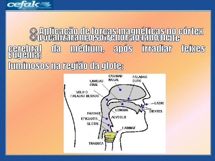 Aplicação de forças magnéticas no córtex OLocalizaram sofredor ao. Consciente lado de Trabalho Aplicação de forças magnéticas no córtex OLocalizaram sofredor ao. Consciente lado de Trabalho