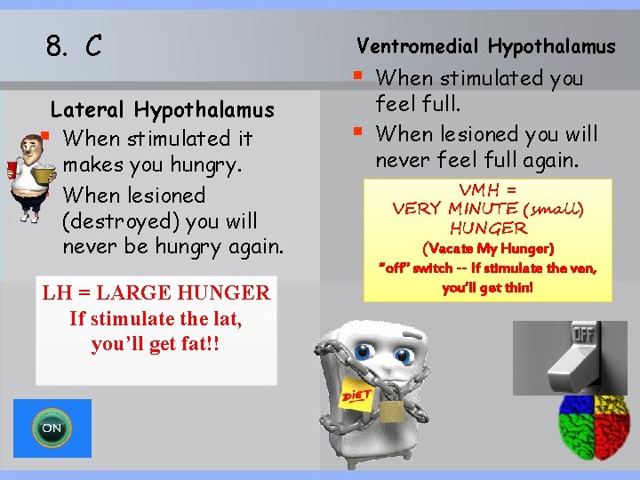 8. C Lateral Hypothalamus § When stimulated it makes you hungry. § When lesioned