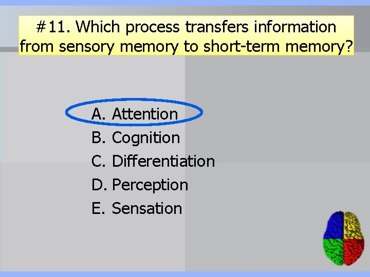 #11. Which process transfers information from sensory memory to short-term memory? A. Attention B.