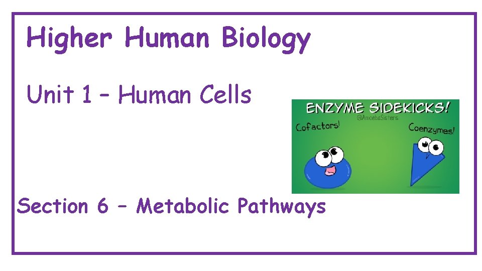 Higher Human Biology Unit 1 – Human Cells Section 6 – Metabolic Pathways 