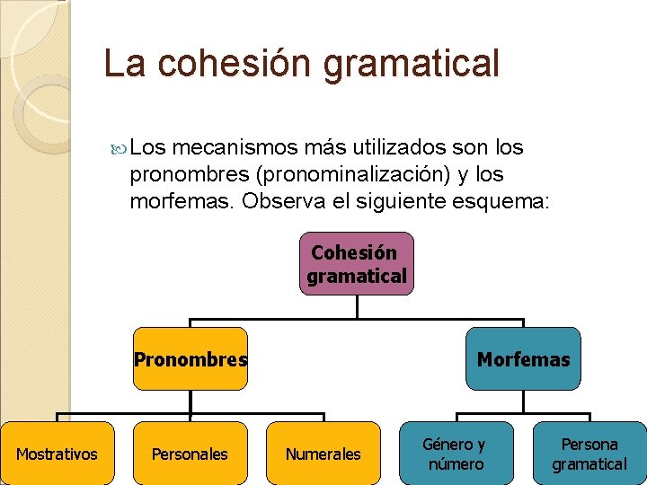 La cohesión gramatical Los mecanismos más utilizados son los pronombres (pronominalización) y los morfemas.