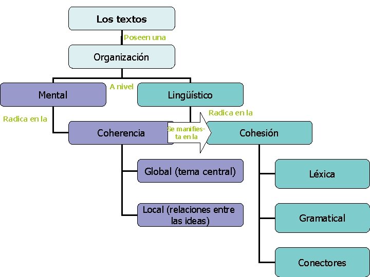 Los textos Poseen una Organización Mental A nivel Lingüístico Radica en la Coherencia Se