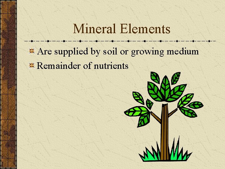 Mineral Elements Are supplied by soil or growing medium Remainder of nutrients 