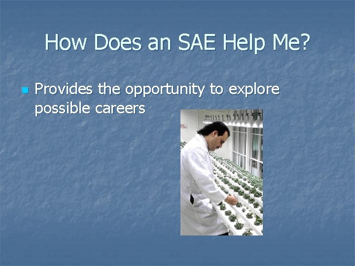 How Does an SAE Help Me? n Provides the opportunity to explore possible careers