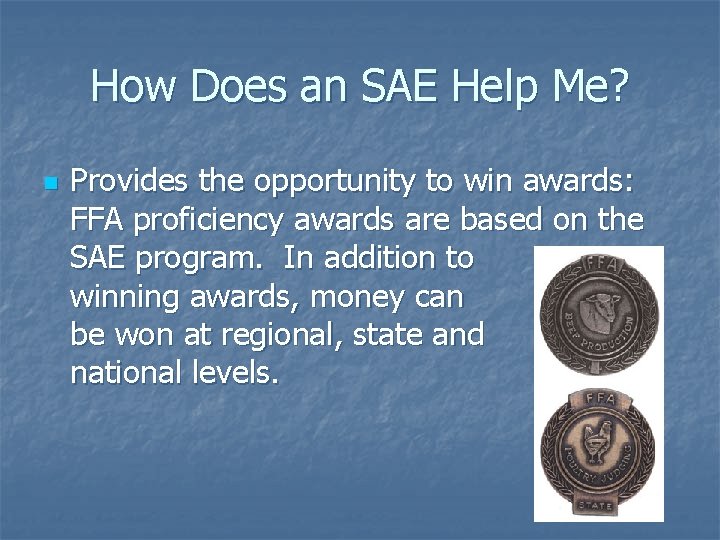 How Does an SAE Help Me? n Provides the opportunity to win awards: FFA