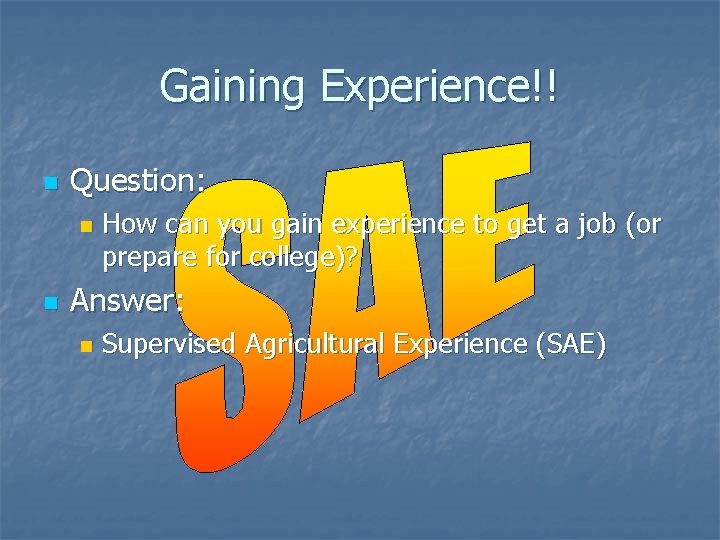 Gaining Experience!! n Question: n n How can you gain experience to get a