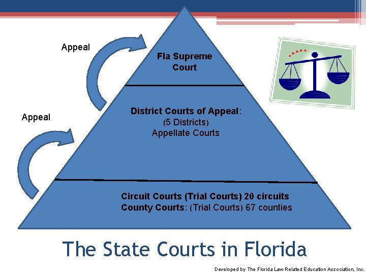 Appeal Fla Supreme Court District Courts of Appeal: (5 Districts) Appellate Courts Circuit Courts Appeal Fla Supreme Court District Courts of Appeal: (5 Districts) Appellate Courts Circuit Courts