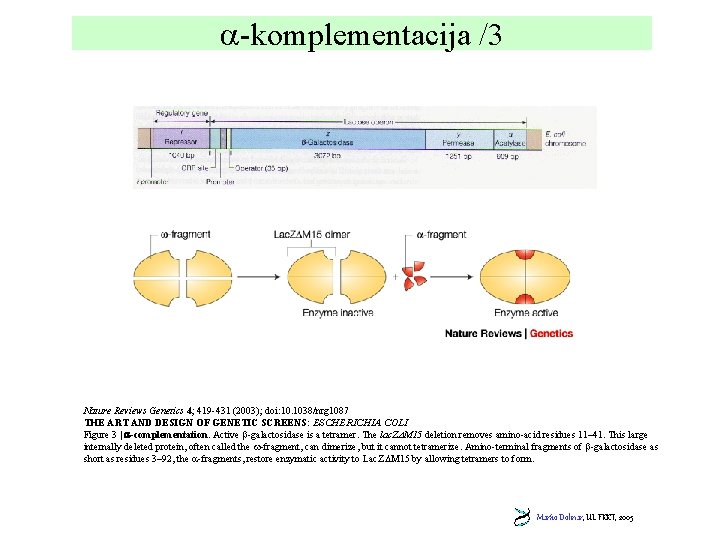  -komplementacija /3 Nature Reviews Genetics 4; 419 -431 (2003); doi: 10. 1038/nrg 1087