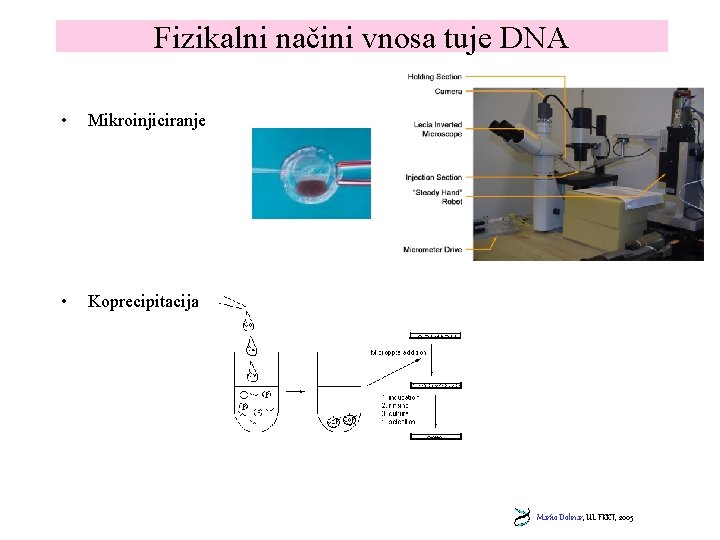 Fizikalni načini vnosa tuje DNA • Mikroinjiciranje • Koprecipitacija Marko Dolinar, UL FKKT, 2005