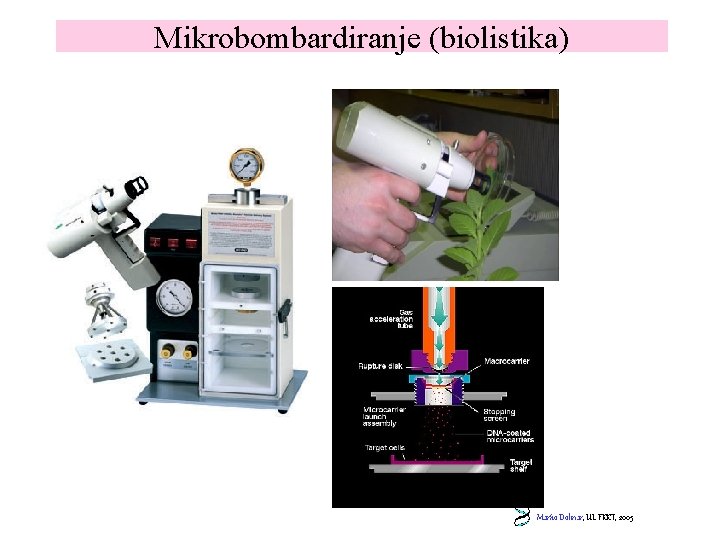 Mikrobombardiranje (biolistika) Marko Dolinar, UL FKKT, 2005 