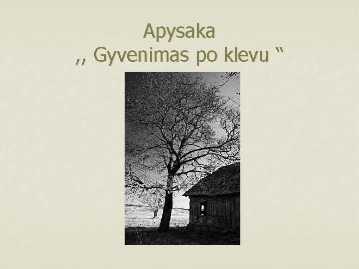 Apysaka , , Gyvenimas po klevu “ 