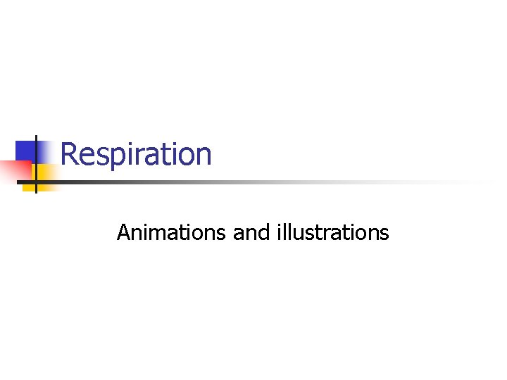 Respiration Animations and illustrations 