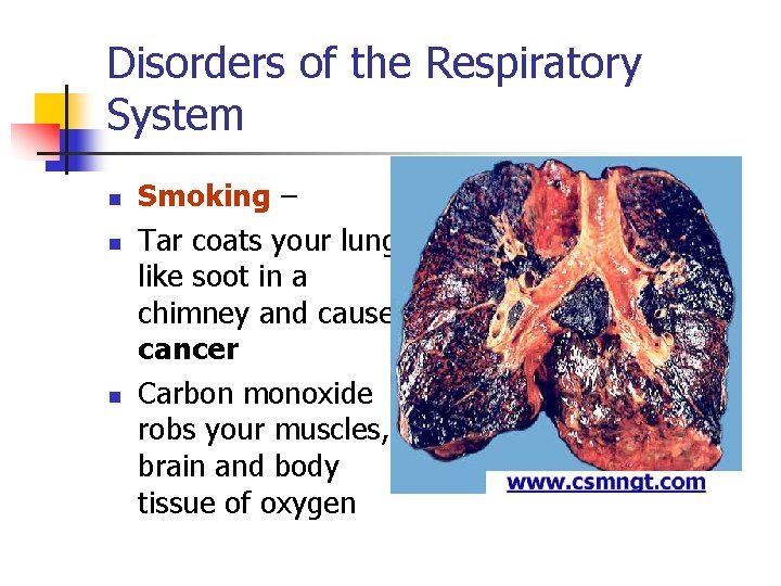 Disorders of the Respiratory System n n n Smoking – Tar coats your lungs