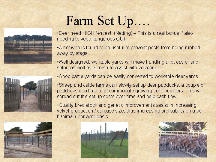 Farm Set Up…. • Deer need HIGH fences! (Netting) – This is a real