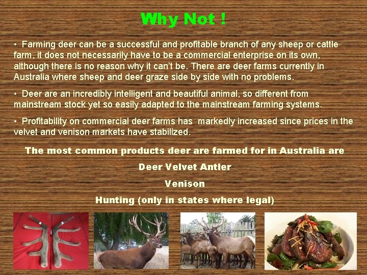 Why Not ! • Farming deer can be a successful and profitable branch of