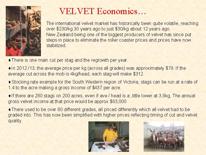 VELVET Economics… The international velvet market has historically been quite volatile, reaching over $230/kg