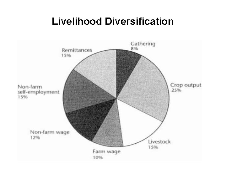 Livelihood Diversification 