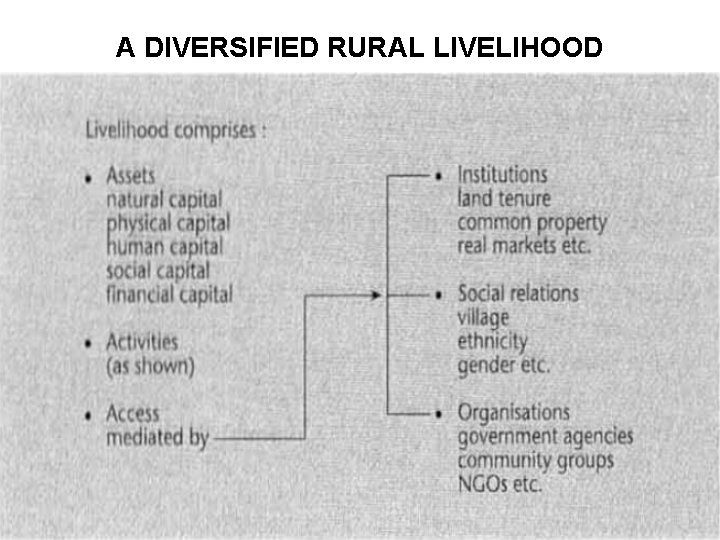 A DIVERSIFIED RURAL LIVELIHOOD 